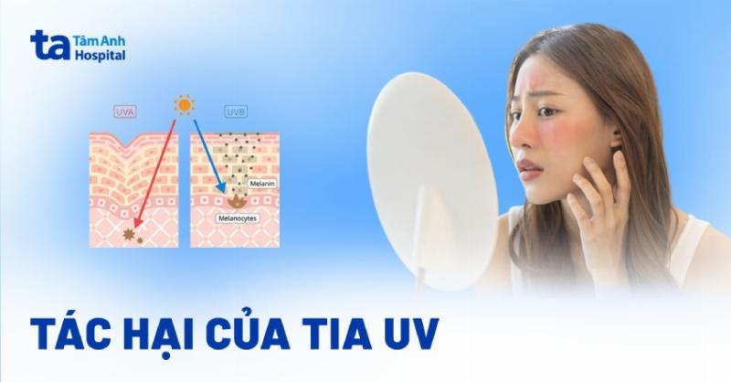 Lợi ích đa chiều của việc sử dụng viên chống nắng cho làn da khỏe mạnh